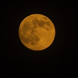 Rare Super Blue Blood Moon Visible on January 31st 2018